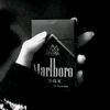 bio.vg