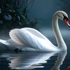 topatope2