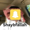 shaybfallah