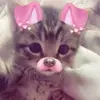 cat.your.editor