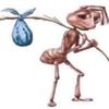 smellybuhplug
