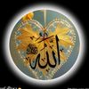 faysal8916