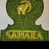 sahara.taste.of.a