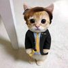 mogau_619