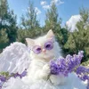 purple_room05