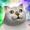 arandomhumanlivin