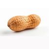 literally_just_a_peanut