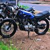 goni_ketak