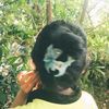 .laras_11