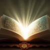 tafsiralquran99