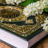 habiba1901
