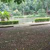 ayamterbang029