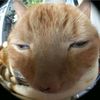 Khyy_24