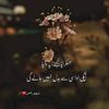 noor.malik658