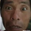 bomat529