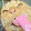 fartscatsmeow