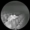 ebrahem_muxles0