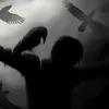 alek_yol