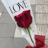 lamine.bourradou