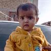 shafa.mangrio
