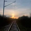 dare493481