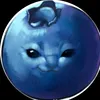 blueberry_cat47
