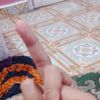 rendra209
