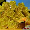 flowersmily0