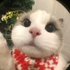 hetyeuemthidoiten8