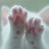 hassani_mariam0u
