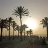 amalia65873