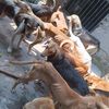 kayembadogfoundation