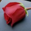 kristina_m.26