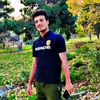 emal.fayzi