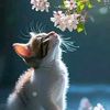 sabi.farhana