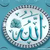 user858506553220