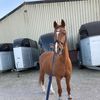 sanne7886