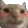 alex_geforce