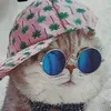 andy_280110