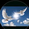 goyerchin_satisi