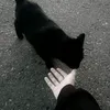 userw9ffoe3k7e1