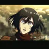 mikasa.ackerman6310