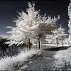 nelly.besnard1