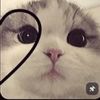 wxwaqilaseptiani_2211