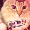 .fbi386