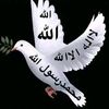 abdulmudallibidr3