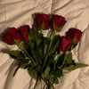 rnoo_1432