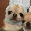 guuudrgrau4