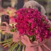 aya.farag72