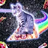 xzz_xxc